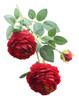 Planta Flor Artificial Peonia Decoracion Hogar 3 Flores 0