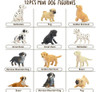 Conjunto De 12 Figuras De Perros Realistas Para Niños 3