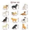 Conjunto De 12 Figuras De Perros Realistas Para Niños 4