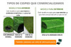Césped Sintético Pasto Artificial 2cm Para Exterior Con Uv 3