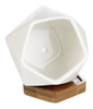 Mini Macetas De Ceramica Suculentas Geometricas Modernas Bla 3 Mini Macetas De Ceramica Suculentas Geometricas Modernas Bla 3