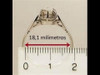 Anillo Profesión Agrónomo Plata Y Oro 2