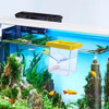 Caixa De Isolamento Para Criação De Peixes, Caixa De 6