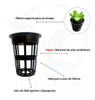 Netpot Para Hidroponia - 10 Unidades 3