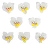~? Hokpa Artificial Silk Phalaenopsis Flower Heads, Fake But 0