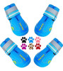 Calzado Mascota Zapato Talle 8 Color Celeste 0