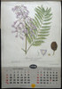 Antiguo Almanaque Shell. Año 1958 (completo). 15015 6