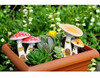 Colección Top Miniature Fairy Garden Y Terrarium Cute Casas 3