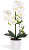 Livilan Orquídeas Flores Artificiales Planta De Orquídea Pha 0