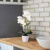 Livilan Orquídeas Flores Artificiales Planta De Orquídea Pha 3