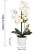 Livilan Orquídeas Flores Artificiales Planta De Orquídea Pha 4