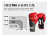Everlast Elite Pro Style Guantes De Entrenamiento, 4