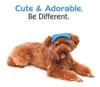 Pawaboo Perro Ajustable De Gorra De Beisbol Deporte Al Aire 1 Pawaboo Perro Ajustable De Gorra De Beisbol Deporte Al Aire 1
