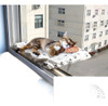 Soleada Ventana Gato Montado Cama Gato Hamaca Mascota Gato S 0