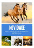 Organizador Para Chaveiro Cavalo Rústico - Já Disponível ! 7
