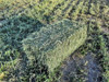 Fardos De Alfalfa 3