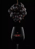 Box Regalo Empresarial Vino Rutini + 2 Copas Vidrio + Choco 5 Box Regalo Empresarial Vino Rutini + 2 Copas Vidrio + Choco 5