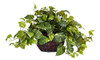 Casi Natural 6681 Pothos Con Jarrón Decorativo Seda Verde Pl 0