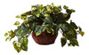 Casi Natural 6681 Pothos Con Jarrón Decorativo Seda Verde Pl 3