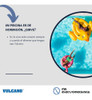 Canasto Vulcano Para Skimmer Piletas Hormigón 6