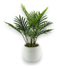 Plantas Falsas, Plantas Artificiales Interior Decoración Y 0 Plantas Falsas, Plantas Artificiales Interior Decoración Y 0