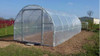 Nylon Invernáculo Alta Calidad Térmico Filtro Uv 4,2m X 10m 6