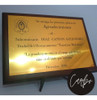 Premio/reconocimiento/profesion Similmetal 20x15cm 6