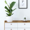 4 Tiradores Decorativos (7y7ykmyc) 4