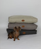 Cama Colchoneta Lenga Cocooning  Lavarropa Hipoalergenico M 3