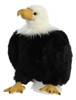 Aurora 105 Regal Eagle Wildlife 1
