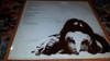Ney Matogrosso Sangre Latina Lp Vinilo Muy Bueno Promo 1984 7