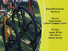 Bicicletero Para 3 Bicis 1