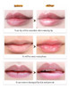 Lanbena Serum Balsamo Labios Resecos 4