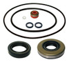 Kit De Retenes De Pata Chrysler 55hp Motor Fuera De Borda 1