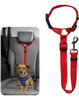 Correa Ajustable Para Llevar Mascota Perro/gato En El Auto 0