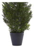 Casi Natural 2ft. Mini Cedar Pine (interior / Exterior) Árbo 1