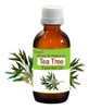 400 Sementes De Melaleuca Alternifolia - Tea Tree Oil 2