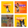 Pack Canva Petshop Arquivos Editáveis 100 Artes Prontas 7