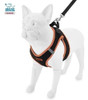 Pretal Arnes + Correa P/gatos Y Perros Talle Xl - Negro+n 4 Pretal Arnes + Correa P/gatos Y Perros Talle Xl - Negro+n 4
