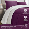 Basic Beyond Queen Comforter Set - Lujoso Fleece Sherpa Edre 3