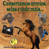Bridão Argola Inox 1 Bridão Argola Inox 1