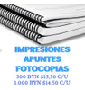 Impresión De Apuntes/fotocopias/resúmenes/libros En 24/48hs 0