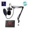 Microfono Brazo Estudio Condensador Y Consola De Sonido V8s 1