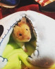 Casita Para Hamster Y Pequeñas Mascotas 3