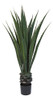 Jardín Puro 50-10016 Planta De Piso De Agave Gigante De 52 P 0