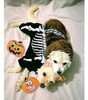Boombone Halloween Dog Toy, Peluche Navideño Pet Squeaky Toy 1 Boombone Halloween Dog Toy, Peluche Navideño Pet Squeaky Toy 1