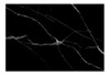 Ceramica Simil Marmol Statuario Negro 30x45 Cortines 1ra 0