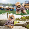 Timoey Ropa De Verano Con Estampado De Leopardo 5 Timoey Ropa De Verano Con Estampado De Leopardo 5