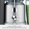 Breville Fuente De Jugo Juicer Frío, Plata, 2