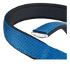 Collar Para Perro - Daytona C30/55 Blu Collare + Envío 1
